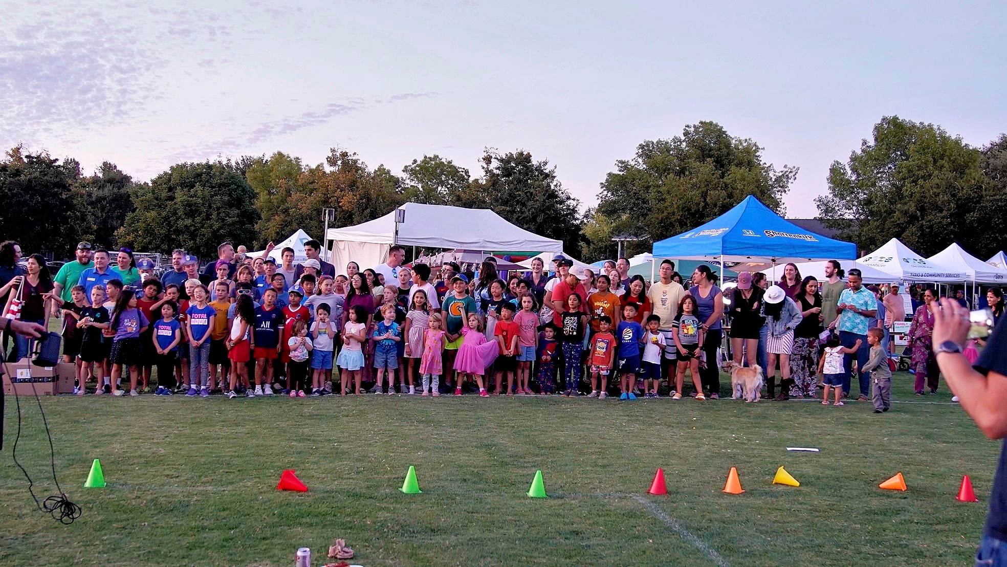 Celebrate Davis festival